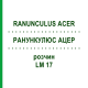 РАНУНКУЛЮС АЦЕР (RANUNCULUS ACER) LM 17 розчин 10 мл - Гомеопатія ARCANA DR.SEWERIN