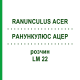 РАНУНКУЛЮС АЦЕР (RANUNCULUS ACER) LM 22 розчин 10 мл - Гомеопатія ARCANA DR.SEWERIN