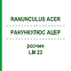 РАНУНКУЛЮС АЦЕР (RANUNCULUS ACER) LM 23 розчин 10 мл - Гомеопатія ARCANA DR.SEWERIN