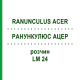 РАНУНКУЛЮС АЦЕР (RANUNCULUS ACER) LM 24 розчин 10 мл - Гомеопатія ARCANA DR.SEWERIN