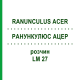РАНУНКУЛЮС АЦЕР (RANUNCULUS ACER) LM 27 розчин 10 мл - Гомеопатія ARCANA DR.SEWERIN