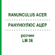 РАНУНКУЛЮС АЦЕР (RANUNCULUS ACER) LM 36 розчин 10 мл - Гомеопатія ARCANA DR.SEWERIN