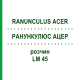 РАНУНКУЛЮС АЦЕР (RANUNCULUS ACER) LM 45 розчин 10 мл - Гомеопатія ARCANA DR.SEWERIN
