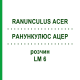РАНУНКУЛЮС АЦЕР (RANUNCULUS ACER) LM 6 розчин 10 мл - Гомеопатія ARCANA DR.SEWERIN