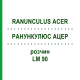 РАНУНКУЛЮС АЦЕР (RANUNCULUS ACER) LM 90 розчин 10 мл - Гомеопатія ARCANA DR.SEWERIN