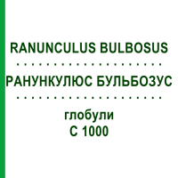 РАНУНКУЛЮС БУЛЬБОЗУС (RANUNCULUS BULBOSUS) C 1000 глобули 1,5 г - Гомеопатия GUDJONS