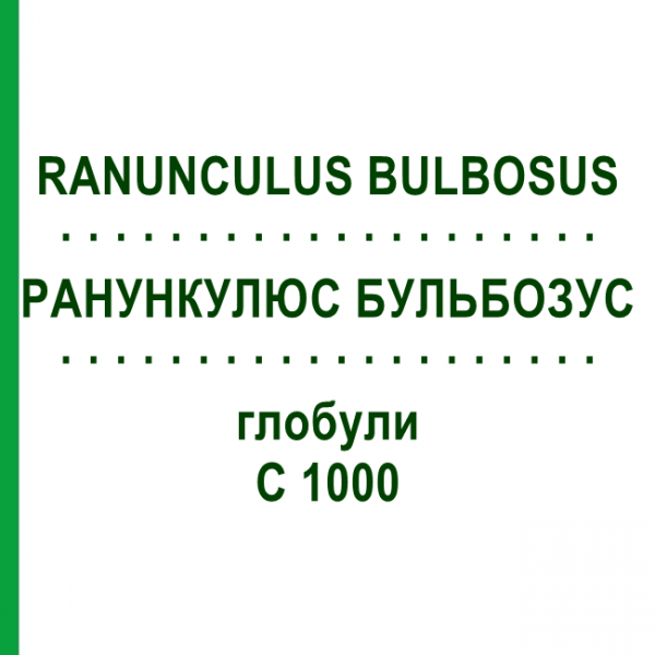 РАНУНКУЛЮС БУЛЬБОЗУС (RANUNCULUS BULBOSUS) C 1000 глобули 1,5 г - Гомеопатия GUDJONS