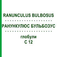 РАНУНКУЛЮС БУЛЬБОЗУС (RANUNCULUS BULBOSUS) C 12 глобули 1,5 г - Гомеопатия GUDJONS