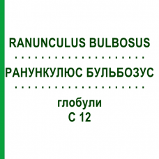 РАНУНКУЛЮС БУЛЬБОЗУС (RANUNCULUS BULBOSUS) C 12 глобули 1,5 г - Гомеопатія GUDJONS