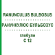 РАНУНКУЛЮС БУЛЬБОЗУС (RANUNCULUS BULBOSUS) C 12 глобули 1,5 г - Гомеопатія GUDJONS