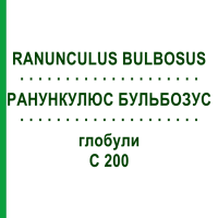 РАНУНКУЛЮС БУЛЬБОЗУС (RANUNCULUS BULBOSUS) C 200 глобули 1,5 г - Гомеопатия GUDJONS