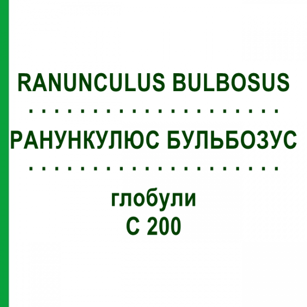 РАНУНКУЛЮС БУЛЬБОЗУС (RANUNCULUS BULBOSUS) C 200 глобули 1,5 г - Гомеопатія GUDJONS