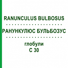 РАНУНКУЛЮС БУЛЬБОЗУС (RANUNCULUS BULBOSUS) C 30 глобули 1,5 г - Гомеопатія GUDJONS