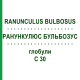 РАНУНКУЛЮС БУЛЬБОЗУС (RANUNCULUS BULBOSUS) C 30 глобули 1,5 г - Гомеопатія GUDJONS