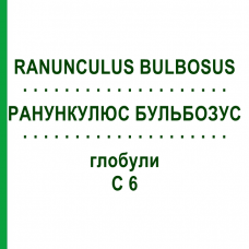 РАНУНКУЛЮС БУЛЬБОЗУС (RANUNCULUS BULBOSUS) C 6 глобули 1,5 г - Гомеопатія GUDJONS