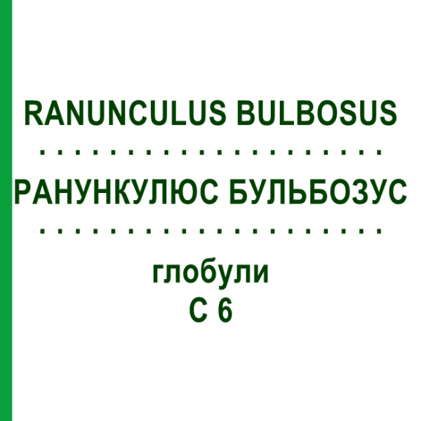 РАНУНКУЛЮС БУЛЬБОЗУС (RANUNCULUS BULBOSUS) C 6 глобули 1,5 г - Гомеопатія GUDJONS