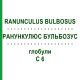 РАНУНКУЛЮС БУЛЬБОЗУС (RANUNCULUS BULBOSUS) C 6 глобули 1,5 г - Гомеопатія GUDJONS