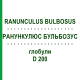 РАНУНКУЛЮС БУЛЬБОЗУС (RANUNCULUS BULBOSUS) D 200 глобули 10 г - Гомеопатия DHU