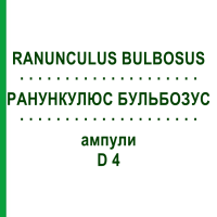 РАНУНКУЛЮС БУЛЬБОЗУС (RANUNCULUS BULBOSUS) D 4 ампули 8x1 мл - Гомеопатія DHU