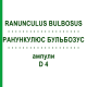 РАНУНКУЛЮС БУЛЬБОЗУС (RANUNCULUS BULBOSUS) D 4 ампулы 8x1 мл - Гомеопатия DHU
