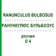 РАНУНКУЛЮС БУЛЬБОЗУС (RANUNCULUS BULBOSUS) D 4 раствор 20 мл - Гомеопатия DHU
