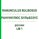 РАНУНКУЛЮС БУЛЬБОЗУС (RANUNCULUS BULBOSUS) LM 1 розчин 10 мл - Гомеопатія ARCANA DR.SEWERIN