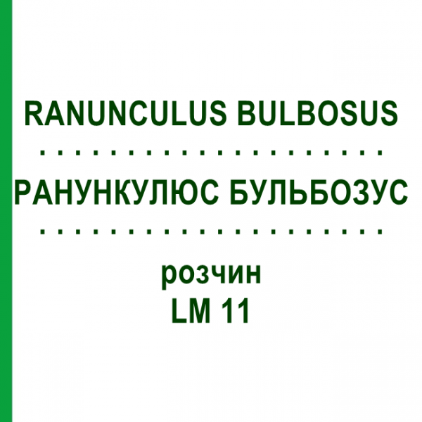 РАНУНКУЛЮС БУЛЬБОЗУС (RANUNCULUS BULBOSUS) LM 11 раствор 10 мл - Гомеопатия ARCANA DR.SEWERIN