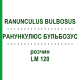 РАНУНКУЛЮС БУЛЬБОЗУС (RANUNCULUS BULBOSUS) LM 120 розчин 10 мл - Гомеопатія ARCANA DR.SEWERIN