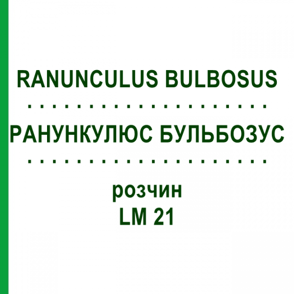 РАНУНКУЛЮС БУЛЬБОЗУС (RANUNCULUS BULBOSUS) LM 21 раствор 10 мл - Гомеопатия ARCANA DR.SEWERIN