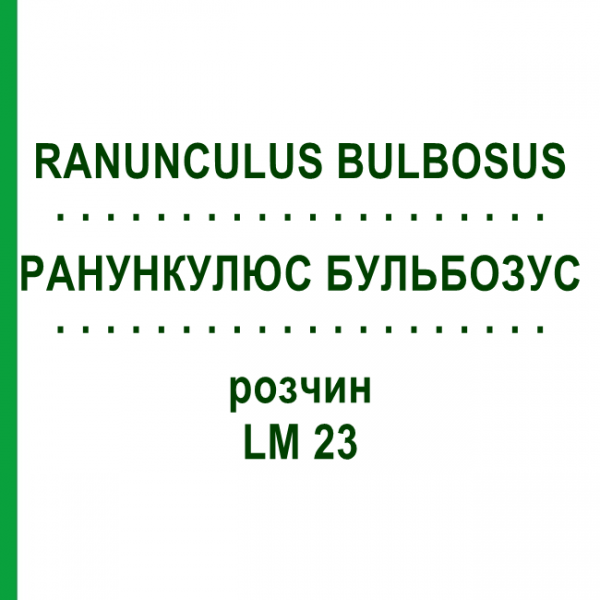РАНУНКУЛЮС БУЛЬБОЗУС (RANUNCULUS BULBOSUS) LM 23 розчин 10 мл - Гомеопатія ARCANA DR.SEWERIN