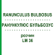 РАНУНКУЛЮС БУЛЬБОЗУС (RANUNCULUS BULBOSUS) LM 36 розчин 10 мл - Гомеопатія ARCANA DR.SEWERIN