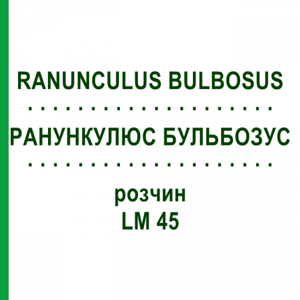 РАНУНКУЛЮС БУЛЬБОЗУС (RANUNCULUS BULBOSUS) LM 45 раствор 10 мл - Гомеопатия ARCANA DR.SEWERIN