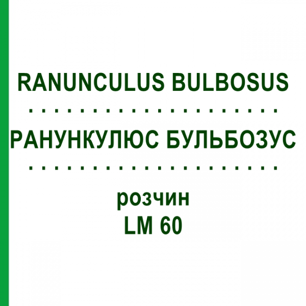 РАНУНКУЛЮС БУЛЬБОЗУС (RANUNCULUS BULBOSUS) LM 60 розчин 10 мл - Гомеопатія ARCANA DR.SEWERIN
