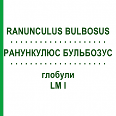 РАНУНКУЛЮС БУЛЬБОЗУС (RANUNCULUS BULBOSUS) LM I глобули 5 г - Гомеопатия DHU