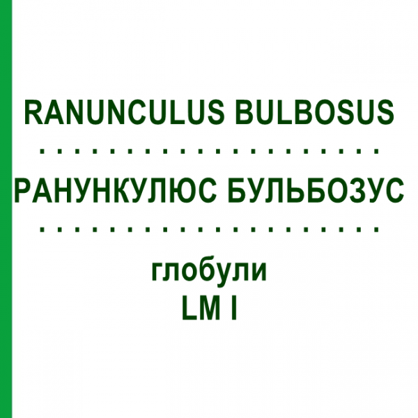 РАНУНКУЛЮС БУЛЬБОЗУС (RANUNCULUS BULBOSUS) LM I глобули 5 г - Гомеопатія DHU