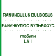 РАНУНКУЛЮС БУЛЬБОЗУС (RANUNCULUS BULBOSUS) LM I глобули 5 г - Гомеопатия DHU