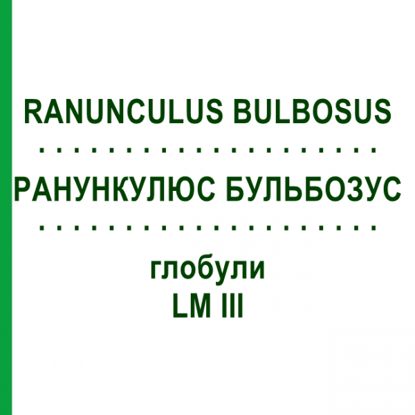 РАНУНКУЛЮС БУЛЬБОЗУС (RANUNCULUS BULBOSUS) LM III глобули 5 г - Гомеопатия DHU