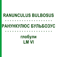 РАНУНКУЛЮС БУЛЬБОЗУС (RANUNCULUS BULBOSUS) LM VI глобули 5 г - Гомеопатія DHU