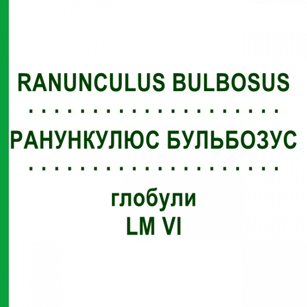 РАНУНКУЛЮС БУЛЬБОЗУС (RANUNCULUS BULBOSUS) LM VI глобули 5 г - Гомеопатия DHU