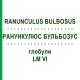 РАНУНКУЛЮС БУЛЬБОЗУС (RANUNCULUS BULBOSUS) LM VI глобули 5 г - Гомеопатия DHU