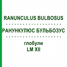 РАНУНКУЛЮС БУЛЬБОЗУС (RANUNCULUS BULBOSUS) LM XII глобули 5 г - Гомеопатия DHU
