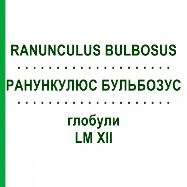 РАНУНКУЛЮС БУЛЬБОЗУС (RANUNCULUS BULBOSUS) LM XII глобули 5 г - Гомеопатия DHU