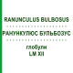 РАНУНКУЛЮС БУЛЬБОЗУС (RANUNCULUS BULBOSUS) LM XII глобули 5 г - Гомеопатия DHU