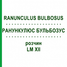 РАНУНКУЛЮС БУЛЬБОЗУС (RANUNCULUS BULBOSUS) LM XII раствор 10 мл - Гомеопатия DHU