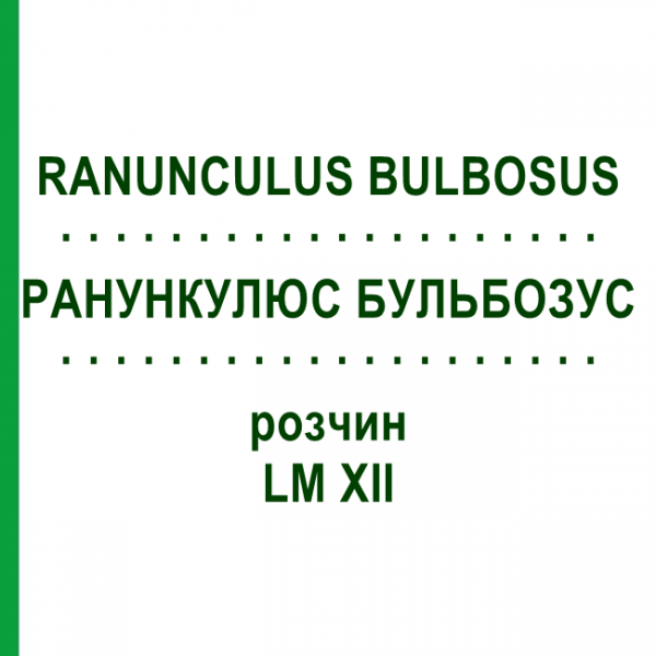 РАНУНКУЛЮС БУЛЬБОЗУС (RANUNCULUS BULBOSUS) LM XII раствор 10 мл - Гомеопатия DHU