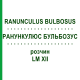 РАНУНКУЛЮС БУЛЬБОЗУС (RANUNCULUS BULBOSUS) LM XII раствор 10 мл - Гомеопатия DHU
