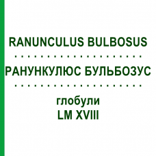 РАНУНКУЛЮС БУЛЬБОЗУС (RANUNCULUS BULBOSUS) LM XVIII глобули 5 г - Гомеопатия DHU