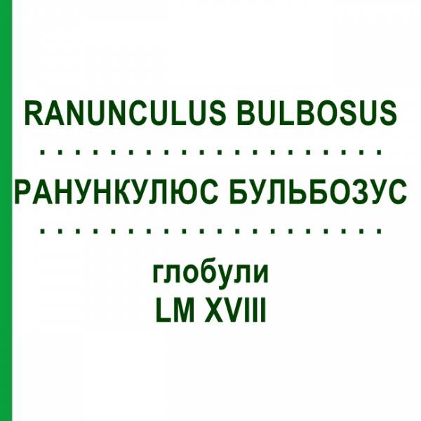 РАНУНКУЛЮС БУЛЬБОЗУС (RANUNCULUS BULBOSUS) LM XVIII глобули 5 г - Гомеопатия DHU