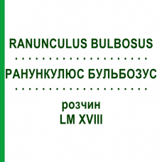 РАНУНКУЛЮС БУЛЬБОЗУС (RANUNCULUS BULBOSUS) LM XVIII раствор 10 мл - Гомеопатия DHU