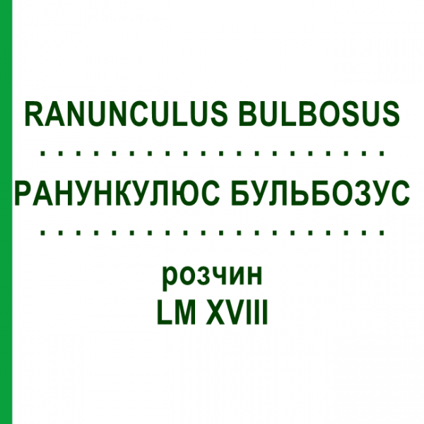 РАНУНКУЛЮС БУЛЬБОЗУС (RANUNCULUS BULBOSUS) LM XVIII раствор 10 мл - Гомеопатия DHU